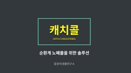 [66만병 완판] 중앙미생물연구소의 캐치콜의 원리 - kakaoTV [66만병 완판] 중앙미생물연구소의 캐치콜의 원리 