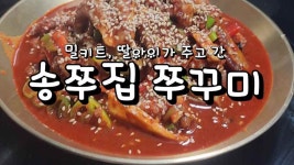 밀키트, 딸아이가 주고 간 송쭈집 쭈꾸미 - kakaoTV 밀키트, 딸아이가 주고 간 송쭈집 쭈꾸미