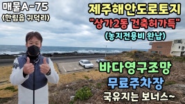 (한림읍귀덕리) - kakaoTV 제주해안도로토지. 바다영구조망에 상가건물 2동으로 건축허가에 국유지보너스땅까지..(한림읍귀덕리)