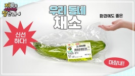 이 채소🥬, 어느 지역까지 올라가는 거예요? 🥕 로컬푸드 🍆 - kakaoTV 이 채소🥬, 어느 지역까지 올라가는 거예요? 🥕 로컬푸드 🍆