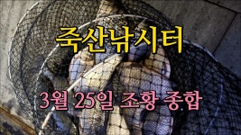 죽산낚시터 3월 25일 조황 종합 - kakaoTV 죽산낚시터 3월 25일 조황 종합