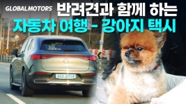 강남 한복판에 럭셔리 강아지 택시가 떴다! ... 럭셔리 전기차 벤츠 EQE에 탄 포메라니안 페티나트립에 가 - kakaoTV 강남 한복판에 럭셔리... 