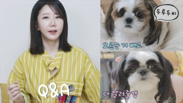 여우비두두 Q&A – 두루두비 장단점, 이름의미, 채널 컨셉, 시츄 성격... 이름의미, 채널 컨셉, 시츄 성격, 입질 교육법, 펫로스 이겨내기, 