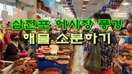 주말 일상, 삼천포 어시장 풍경과 해물 소분하기 - kakaoTV 주말 일상, 삼천포 어시장 풍경과 해물 소분하기
