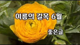 여름의 길목 6월/좋은글 - kakaoTV 여름의 길목 6월/좋은글