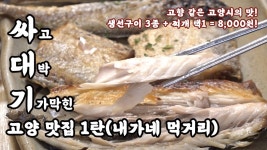 #7 반전있는 일산 신도시에서 생선구이 3종 싸대기 맞고 온 사연은?? - kakaoTV #7 반전있는 일산 신도시에서 생선구이 3종 싸대기 맞고 온... 