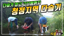 귀농귀촌 시골부부 (청정지역 약고동 잡기) 다슬기잡고 고디탕까지 2022-07-15 (일) - kakaoTV 귀농귀촌 시골부부 (청정지역 약고동 잡기)... 