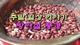 주말 일상 이야기, 정겨운 방아실 풍경 - kakaoTV 주말 일상 이야기, 정겨운 방아실 풍경