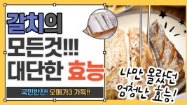 구워먹어도 조림을도 맛 좋은 갈치의 모든 것! (갈치의 효능과 부작용, 갈치구이, 갈치조림, 구입요령, 손질 - kakaoTV 구워먹어도 조림을도 맛... 