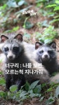 모른 척 지나가주세요..곳곳에 출몰하는 야생동물에 송도 발칵 [강남대로315] - kakaoTV 모른 척 지나가주세요..곳곳에 출몰하는... 