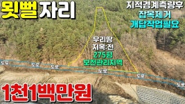 NO:1-1459번#합천군땅#합천땅#합천군부동산#합천부동산#합천군쌍책면건태리가족납골비석묘지터매매#합천군쌍책면 - kakaoTV NO:1-1459번... 