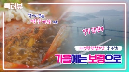보령 톡터뷰ㅣ대천관광협회장 추천! 가을에는 보령으로 - kakaoTV 보령 톡터뷰ㅣ대천관광협회장 추천! 가을에는 보령으로