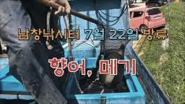 남창낚시터 7월 22일 향어,메기방류 - kakaoTV 남창낚시터 7월 22일 향어,메기방류