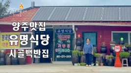 시골백반의 정석을 보여주는 반찬과 찌개 그집이 이집입니다, 경기도 양주 된장찌개맛집 유명식당의 된장찌개 - kakaoTV 시골백반의 정석을... 