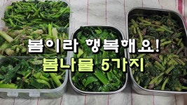 봄이라 행복해요! 봄나물 반찬 5가지 - kakaoTV 봄이라 행복해요! 봄나물 반찬 5가지