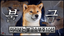 데이트레이딩 내일승부주10선 - 엑세스바이오.넵튠.에스와이.... 넵튠.에스와이.대한전선.신성이엔지.하나기술.제일전기공업
