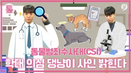 [톺뉴스] 학대 의심 댕냥이 사인 밝힌다…동물범죄현장수사대 #shorts - kakaoTV [톺뉴스] 학대 의심 댕냥이 사인 밝힌다... 