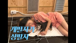[#목욕탕 엘레지] 개팔자가 상팔자 - kakaoTV [#목욕탕 엘레지] 개팔자가 상팔자