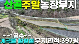 NO:1-1202번#김천시땅#김천땅#김천시부동산#김천부동산#김천시대덕면조룡리주말농장용지매매#김천시대덕면조룡리 - kakaoTV NO:1-1202번... 