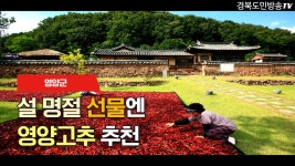 영양군 설명절선물엔 영양고추추천 경북도민방송TV 영양군청... 영양고추추천 경북도민방송TV 영양군청 영양군의회 오도창군수 국민의소리... 