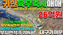 NO:6-1번#성주군땅.성주땅.성주군부동산.성주부동산.성주군선남면오도리육우축사매매.성주군선남면육우축사건물매매 - kakaoTV NO:6-1번... 
