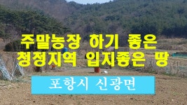 포항부동산 신광면 주말농장하기 좋은 청정지역 입지 좋은 토지 매매 - kakaoTV 포항부동산 신광면 주말농장하기 좋은 청정지역 입지 좋은... 