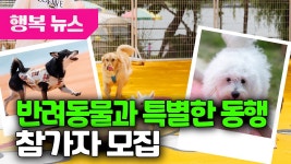 반려동물과 특별한 동행 참가자 모집 / 행복뉴스(25.08.14.) - kakaoTV 반려동물과 특별한 동행 참가자 모집 / 행복뉴스(25.08.14.)