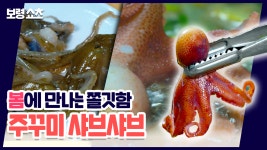 보령쇼츠 - 주꾸미샤브샤브 - kakaoTV 보령쇼츠 - 주꾸미샤브샤브