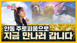 GIRL 2ㅣ동물 있고~ 식물도 있는~ 여기는 주토피움입니다🎵 - kakaoTV 경북대신 GIRL 2ㅣ동물 있고~ 식물도 있는~ 여기는 주토피움입니다🎵