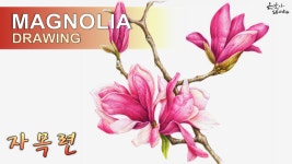 Flower Drawing Lily Magnolia | 자목련 색연필 그리기 | 꽃그림 배우기 - kakaoTV Flower Drawing Lily Magnolia | 자목련 색연필... 