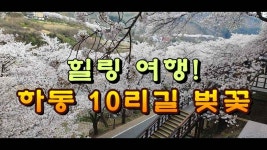 힐링 여행 떠나요! 하동 10리길 벚꽃 - kakaoTV 힐링 여행 떠나요! 하동 10리길 벚꽃