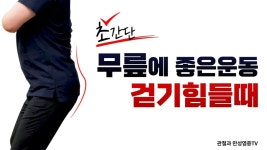 무릎 통증에 좋은, 강화보다는 재활에 가까운 운동법 - kakaoTV 무릎 통증에 좋은, 강화보다는 재활에 가까운 운동법
