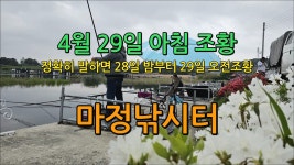 마정낚시터 4월 29일 조황영상 - kakaoTV 마정낚시터 4월 29일 조황영상
