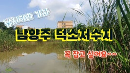 남양주 와부읍 덕소리!! 덕소저수지에서 낚시요~ - kakaoTV 남양주 와부읍 덕소리!! 덕소저수지에서 낚시요~