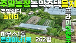 NO:1-1240번#성주군땅#성주땅#성주군부동산#성주부동산#성주군월항면용각리주말농장용지매매#성주군월항면용각리 - kakaoTV NO:1-1240번... 