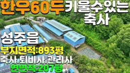 NO:5-28번#성주군땅#성주땅#성주군부동산#성주부동산#성주군성주읍대황리축사매매#성주군성주읍대황리한우축사매매 - kakaoTV NO:5-28번... 