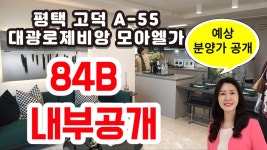 평택 고덕 A-55 대광로제비앙 모아엘가 예상 분양가 및 84B 타입 내부공개 - kakaoTV 평택 고덕 A-55 대광로제비앙 모아엘가 예상 분양가 및... 
