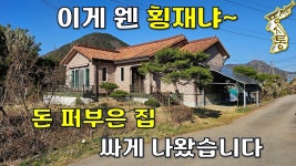 이 집 놓치면 땅을 치고 후회합니다~돈 퍼부은 집이 공짜 수준으로 나왔습니다[땅지통] - kakaoTV 이 집 놓치면 땅을 치고 후회합니다~돈 퍼부은... 