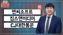 엔씨소프트, 칩스앤미디어, CJ대한통운 급락 분석 및 투자전략은? │ 주식, 급락, 투자전략 - kakaoTV 엔씨소프트, 칩스앤미디어, CJ대한통운... 