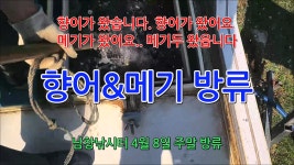 남창낚시터 4월 8일 향어,메기 주말 방류 - kakaoTV 남창낚시터 4월 8일 향어,메기 주말 방류