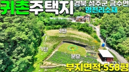 NO:1-1080번#성주군땅.성주땅.성주군부동산.성주부동산.성주군금수면명천리귀촌주택용지매매.성주군주말농장부지 - kakaoTV NO:1-1080번... 
