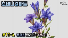 용담초 그리기 (꽃드로잉 - 꽃그림 기초강좌) 색연필꽃그림 - kakaoTV [보태니컬아트] #11-3. 용담초 그리기 (꽃드로잉 - 꽃그림 기초강좌)... 