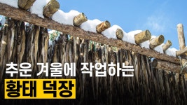 태백산맥의 바람과 추위 속 강원도 고성 황태덕장 - kakaoTV 태백산맥의 바람과 추위 속 강원도 고성 황태덕장
