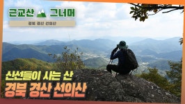 등산코스 추천, 경북 경산 선의산 근교산&그너머 (Hiking trails of Korea, 1354) - kakaoTV 등산코스 추천, 경북 경산 선의산... 