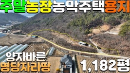 NO:1-1187번#성주군땅#성주땅#성주군월항면인촌리귀농귀촌주택용지매매#성주군월항면인촌리귀농귀촌주택부지매매# - kakaoTV NO:1-1187번... 