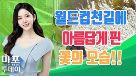 마포구 곳곳의 아름다움, 꽃이 핀 월드컵천길 모습 外 / 마포투데이 (23. 4. 5) - kakaoTV 마포구 곳곳의 아름다움, 꽃이 핀 월드컵천길 모습... 