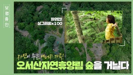 보령줌인ㅣ푸릇함 가득! 싱그러운 오서산자연휴양림 - kakaoTV 보령줌인ㅣ푸릇함 가득! 싱그러운 오서산자연휴양림