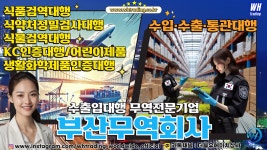 부울경 무역대행 전문 업체_부산 무역회사(수입대행/수출대행/무역대행/식품검역대행/식물검역대행)_더블유에이치사 - kakaoTV 부울경 무역대행... 