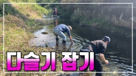 귀농귀촌 시골부부 (다슬기 잡기) 2025.04.26 (토) - kakaoTV 귀농귀촌 시골부부 (다슬기 잡기) 2025.04.26 (토)