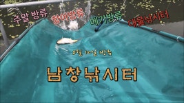 남창낚시터 8월 12일 향어,메기 방류 - kakaoTV 남창낚시터 8월 12일 향어,메기 방류
